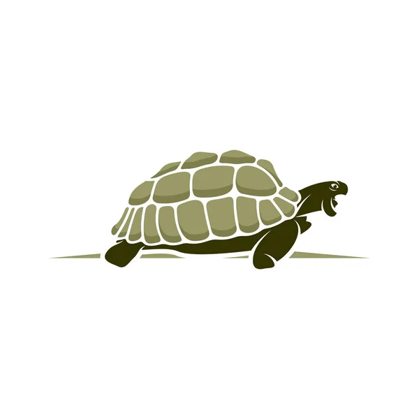 Illustration Vectorielle Conception Tortue Modèle Concepts Conception Logo Tortue Créative — Image vectorielle