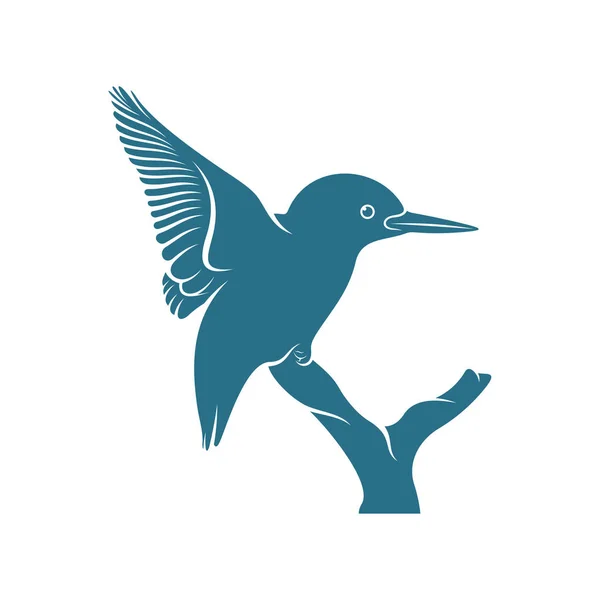 Kingfisher Madár Design Vektor Illusztráció Creative Kingfisher Madár Logó Tervezési — Stock Vector
