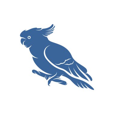 Kakadu Kuş tasarım vektör çizimi, Yaratıcı Papağan Kuş logosu tasarımı şablon, simge sembolleri