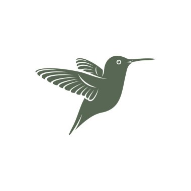 Sinekkuşu tasarım vektör çizimi, Yaratıcı Hummingbird logo şablonu, simge sembolü