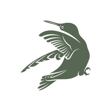 Sinekkuşu tasarım vektör çizimi, Yaratıcı Hummingbird logo şablonu, simge sembolü
