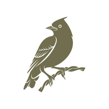 Lark kuşunun logo tasarım vektörü. Simge Sembolü. Şablon İllüstrasyonu. Yaratıcı tasarım