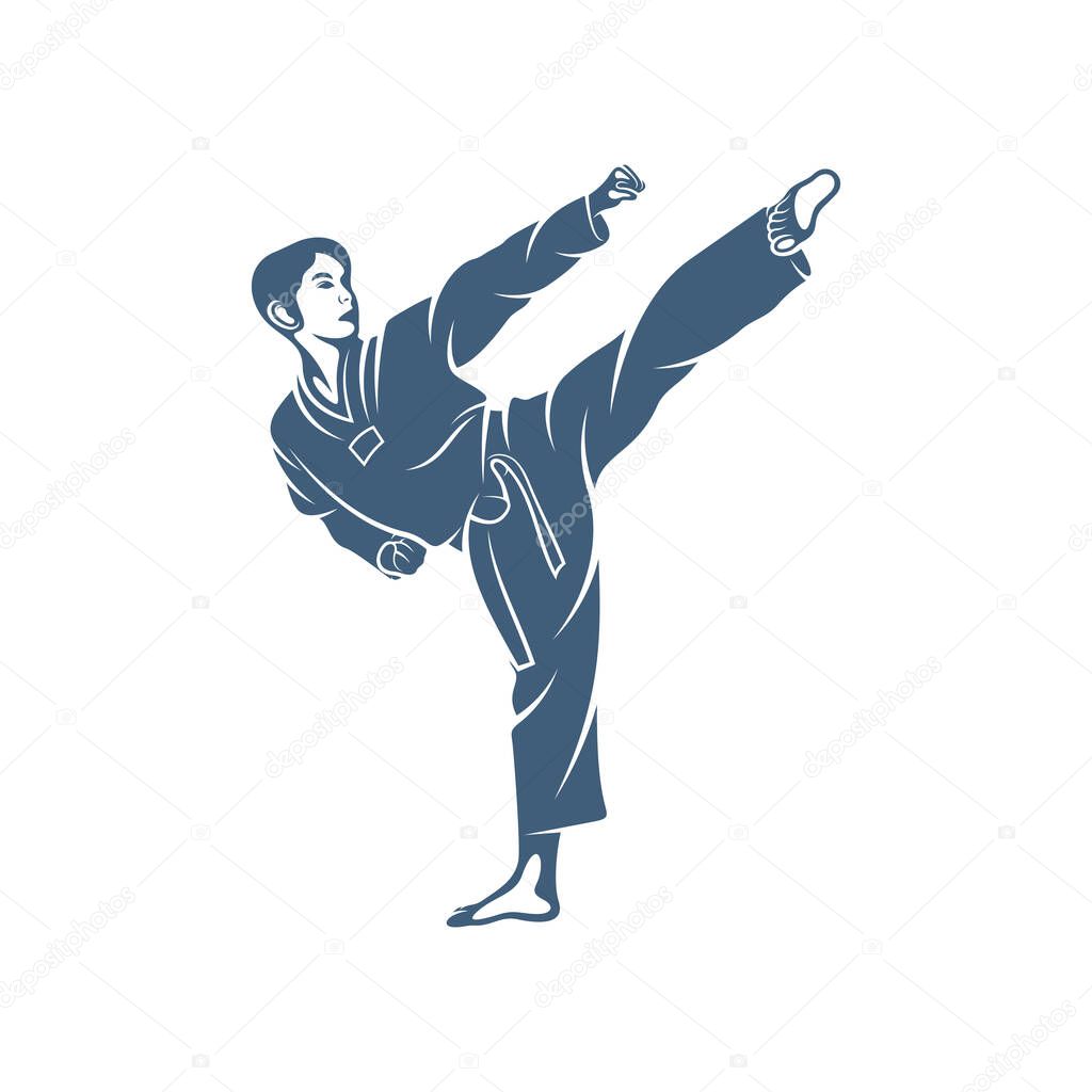 Taekwondo Design Vector Illustration Creative Taekwondo Logo Design Concepts Template Icon Symbol 451791818 Larastock