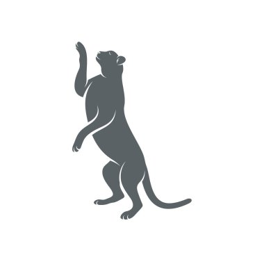 Çita tasarım vektör çizimi, Yaratıcı Çita logo tasarımı şablon, simge sembolleri