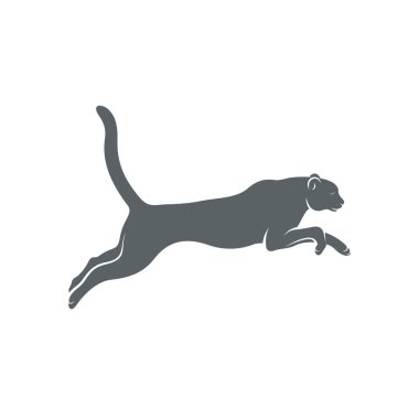 Çita tasarım vektör çizimi, Yaratıcı Çita logo tasarımı şablon, simge sembolleri