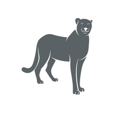 Çita tasarım vektör çizimi, Yaratıcı Çita logo tasarımı şablon, simge sembolleri