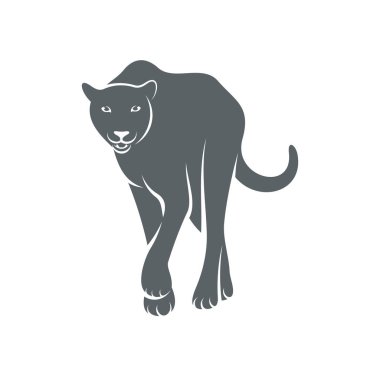 Çita tasarım vektör çizimi, Yaratıcı Çita logo tasarımı şablon, simge sembolleri