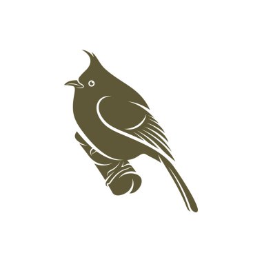 Himalaya Bulbul kuş tasarım vektör çizimi, Yaratıcı Himalaya Bulbul kuş logosu tasarım şablonları, ikon sembolü