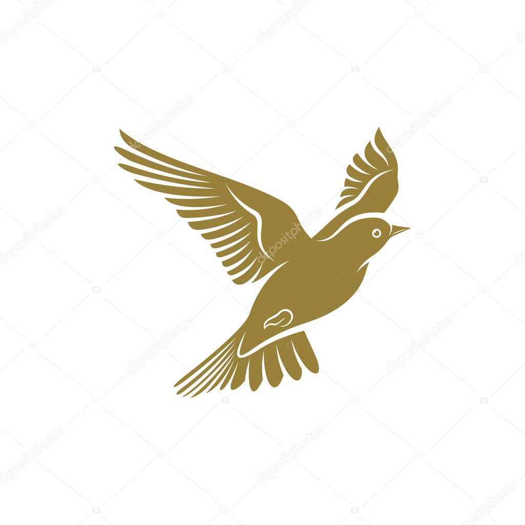 Lark bird design vector illustration, Creative Lark bird logo design concepts template, icon symbol