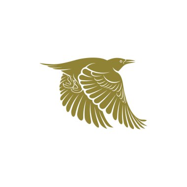 Starling kuş tasarımı vektör çizimi, Creative Starling kuş logosu tasarım konsept şablonu, semboller simgeleri