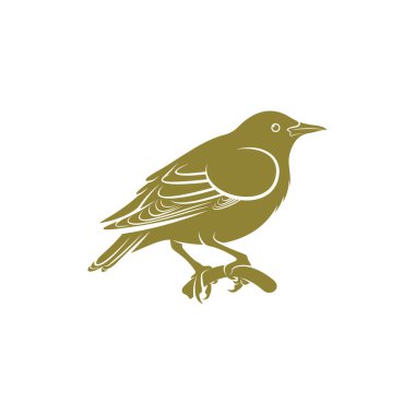Starling kuş tasarımı vektör çizimi, Creative Starling kuş logosu tasarım konsept şablonu, semboller simgeleri