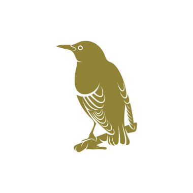 Starling kuş tasarımı vektör çizimi, Creative Starling kuş logosu tasarım konsept şablonu, semboller simgeleri