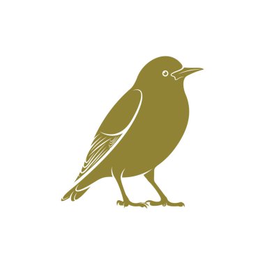 Starling kuş tasarımı vektör çizimi, Creative Starling kuş logosu tasarım konsept şablonu, semboller simgeleri