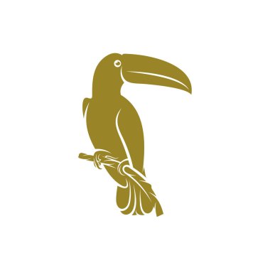 Toucan kuş tasarımı vektör çizimi, Creative Toucan kuş logo tasarımı konsept şablonu, semboller simgeleri