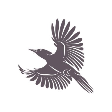 Ağaçkakan kuş tasarımı vektör çizimi, Yaratıcı Ağaçkakan kuş logosu tasarım şablonu, semboller simgeleri