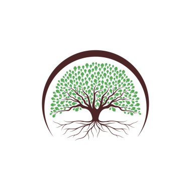 Meşe Ağacı logosu tasarımı vektör illüstrasyonu, yaratıcı meşe ağacı logosu dizayn şablonu, sembol simgeleri