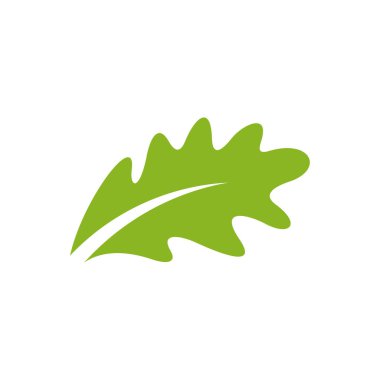 Meşe yaprağı logosu tasarımı vektör çizimi, yaratıcı meşe ağacı logosu tasarım konsept şablonu, sembol simgeleri