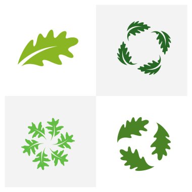 Meşe yaprağı logo tasarımı vektör illüstrasyonu, yaratıcı meşe ağacı logosu dizayn şablonu, sembol simgeleri