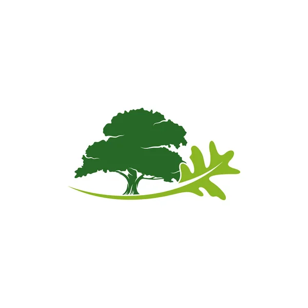 Дизайн Логотипа Дуба Векторная Иллюстрация Дизайн Логотипа Креативной Дубовой Елки — стоковый вектор
