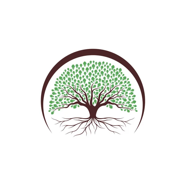 Ilustracja Wektora Projektu Logo Dębu Szablon Koncepcji Logo Dębu Kreatywnego — Wektor stockowy