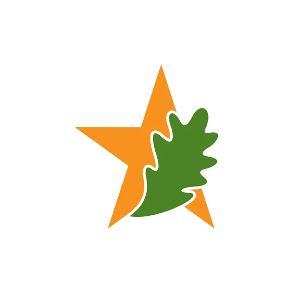 Ilustrasi Vektor Desain Logo Daun Bintang Oak Templat Konsep Desain - Stok Vektor