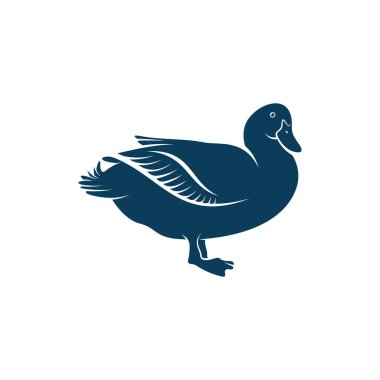 Ördek tasarımı vektör illüstrasyonu, Creative Duck logo tasarım konsept şablonu, simgeler