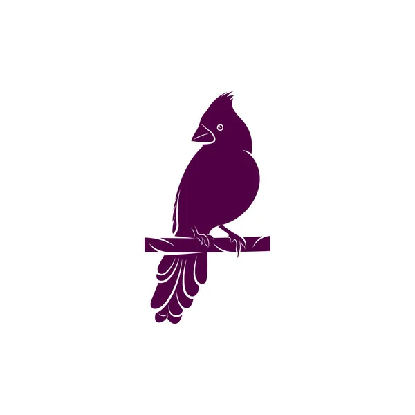 Nördliche Kardinalvogel Design Vektor Illustration Kreative Nördliche Kardinalvogel Logo Design — Stockvektor