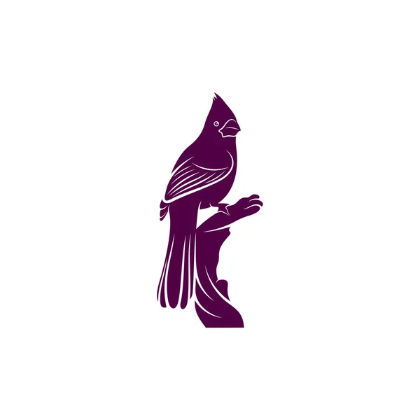 Nördliche Kardinalvogel Design Vektor Illustration Kreative Nördliche Kardinalvogel Logo Design — Stockvektor