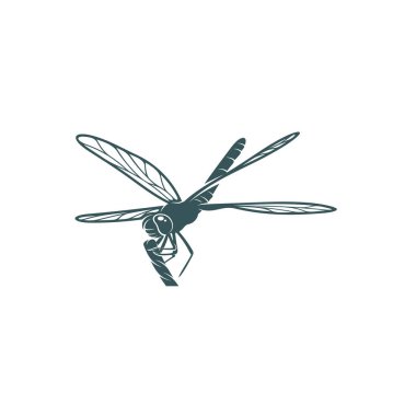 Yusufçuk tasarım vektör çizimi, Yaratıcı Dragonfly logo tasarım konsept şablonu, semboller simgeleri
