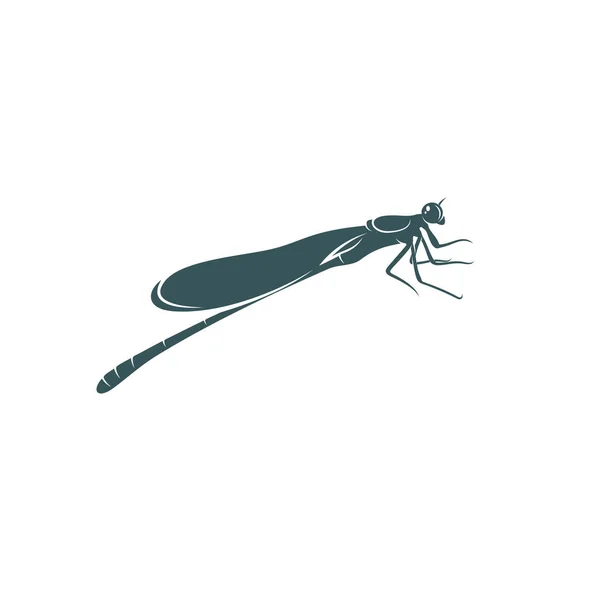 Dragonfly Design Vektor Illustration Creative Dragonfly Logo Design Konzeptvorlage Symbole — Stockvektor