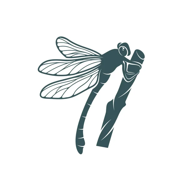 Dragonfly Design Vektor Illustration Creative Dragonfly Logo Design Konzeptvorlage Symbole — Stockvektor