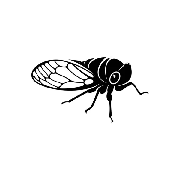 Cicada Design Vektor Illustration Kreative Cicada Logo Design Konzept Vorlage — Stockvektor