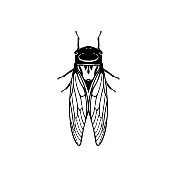 Cicada Design Vector Illustratie Creatieve Cicada Logo Ontwerp Concept Template — Stockvector