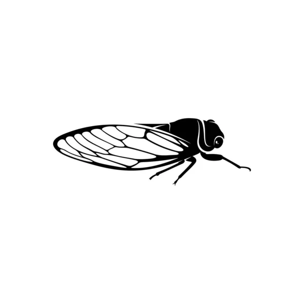Cicada Design Vektor Illustration Kreative Cicada Logo Design Konzept Vorlage — Stockvektor