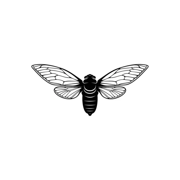 Cicada Design Vektor Illustration Creative Cicada Logo Design Koncept Mall — Stock vektor