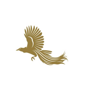 Cennet Kuşları tasarım vektör illüstrasyonu, Cennet 'in Yaratıcı Kuşları logo tasarım konsept şablonu, sembol simgeleri
