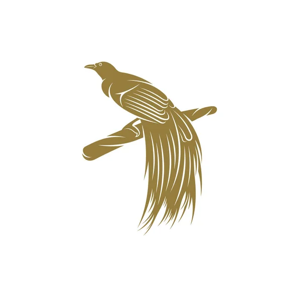 Aves Paraíso Desenho Vetor Ilustração Aves Criativas Paraíso Logotipo Design — Vetor de Stock