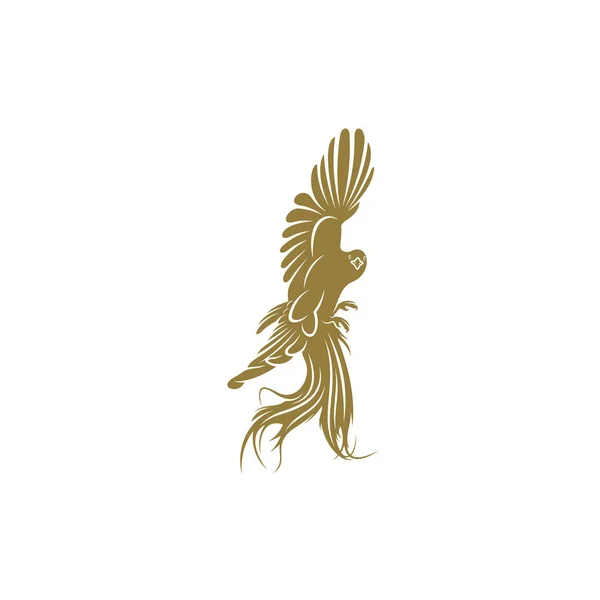Vögel Des Paradieses Design Vektor Illustration Creative Birds Paradise Logo — Stockvektor