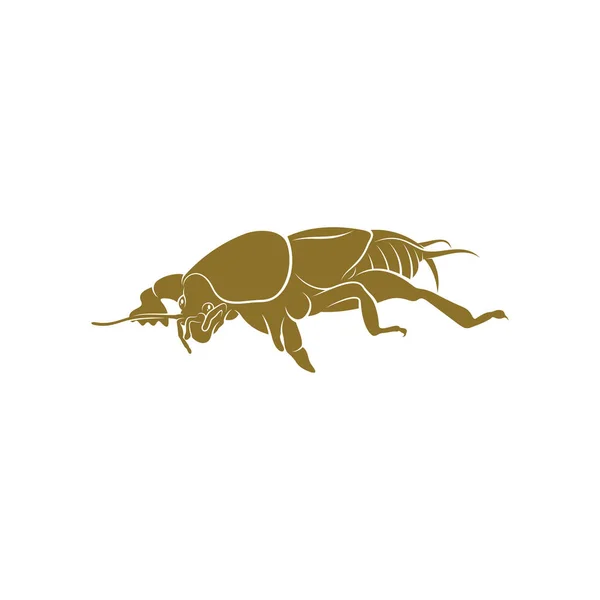 Mullvad Cricket Design Vektor Illustration Creative Mole Cricket Logotyp Design — Stock vektor