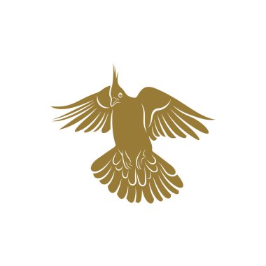 Tepeli Güvercin kuş vektör çizimi. Tepeli Güvercin kuş logosu tasarım şablonu. Yaratıcı sembol