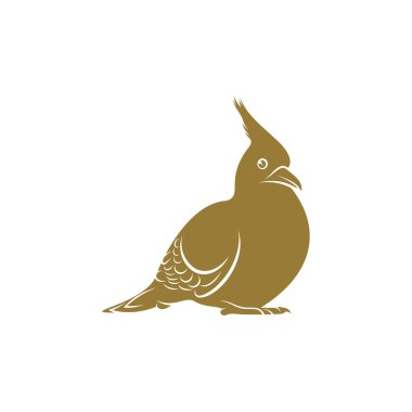 Tepeli Güvercin kuş vektör çizimi. Tepeli Güvercin kuş logosu tasarım şablonu. Yaratıcı sembol