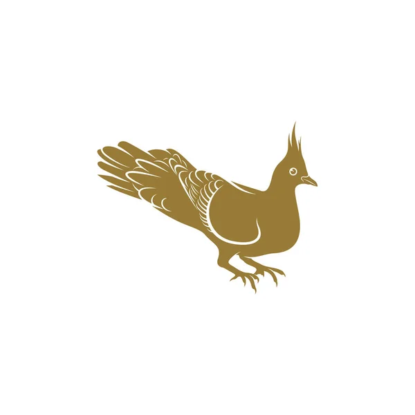 Иллюстрация Вектора Птиц Голубей Crested Pigeon Bird Logo Design Template — стоковый вектор