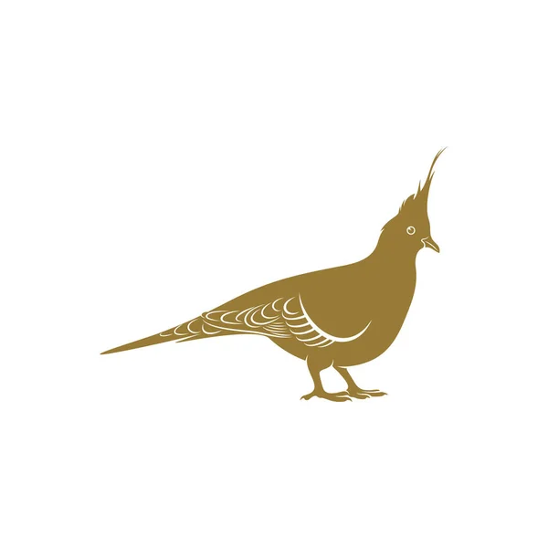 Ilustración Del Vector Pájaro Paloma Crestada Plantilla Concepto Diseño Logo — Archivo Imágenes Vectoriales