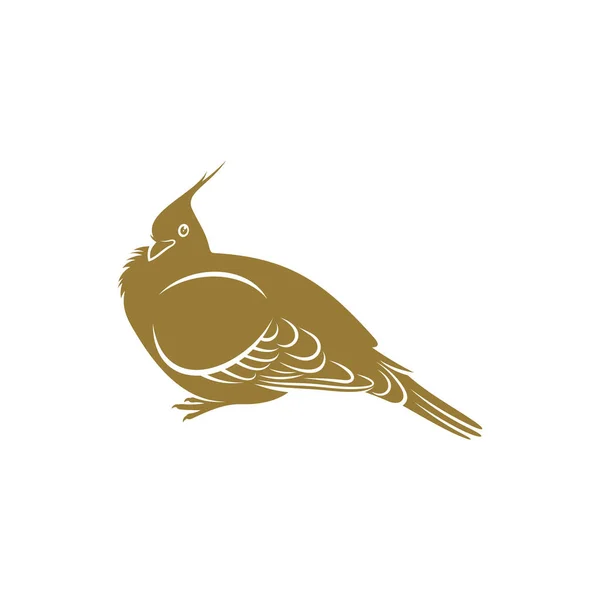 Crested Pigeon Bird Vector Illustration Inglês Crested Pigeon Pássaro Logotipo — Vetor de Stock