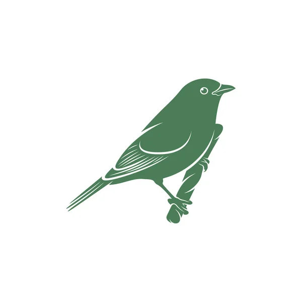 Saira Amarela Ilustración Del Vector Aves Plantilla Concepto Diseño Del — Vector de stock