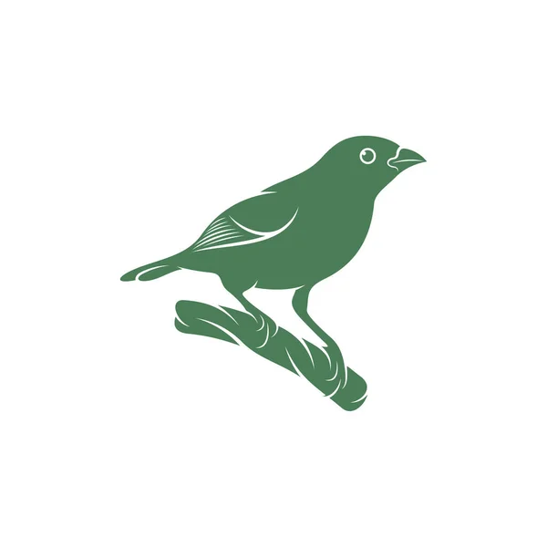 Saira Amarela Vogelvektorillustration Saira Amarela Vogel Logo Design Konzept Vorlage — Stockvektor