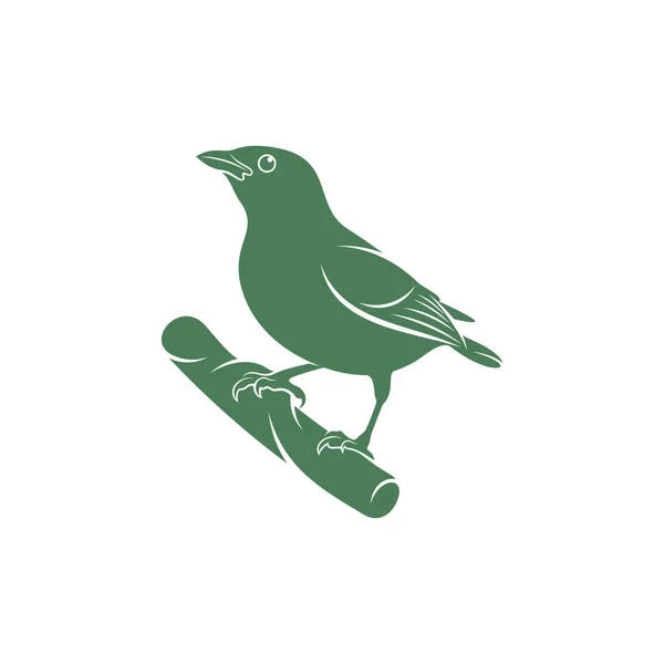 Ilustracja Wektora Saira Amarela Saira Amarela Projekt Logo Ptaka Szablon — Wektor stockowy