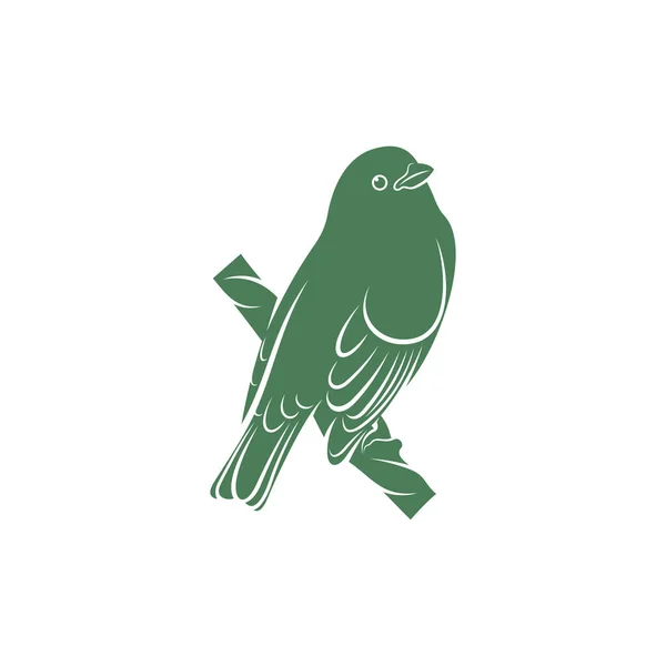 Saira Amarela Bird Vector Illustration 약자이다 Saira Amarela Bird 디자인 — 스톡 벡터