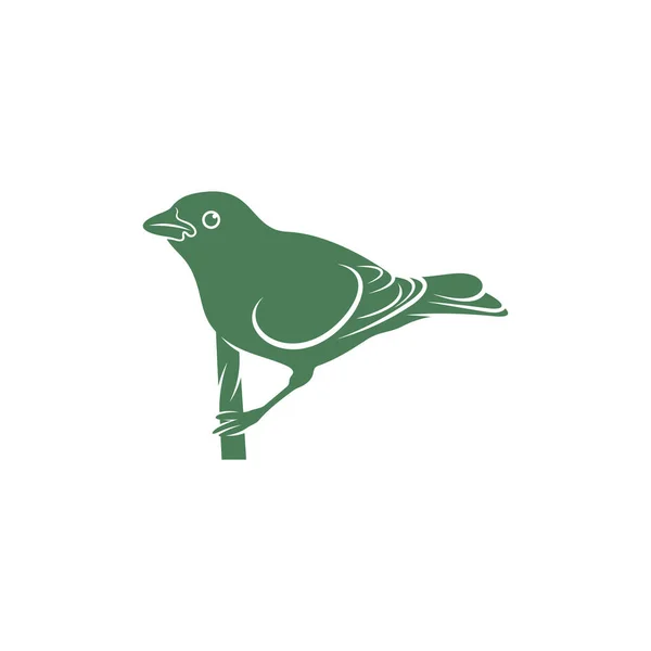 Saira Amarela Ilustração Vetorial Aves Saira Amarela Pássaro Logotipo Modelo — Vetor de Stock