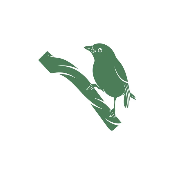 Ilustracja Wektora Saira Amarela Saira Amarela Projekt Logo Ptaka Szablon — Wektor stockowy